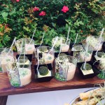 thumb_IMG_0054_1024 copia