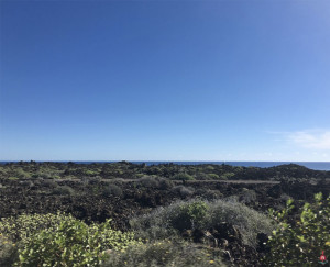 lanzarote-playa