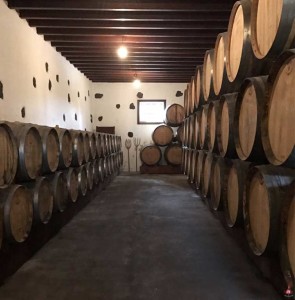 los-bermejos-bodega